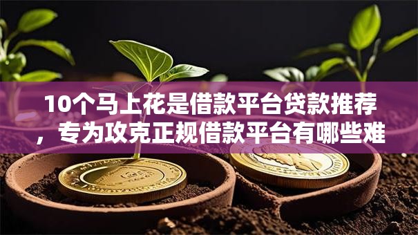 10个马上花是借款平台贷款推荐,专为攻克正规借款平台有哪些难题 10个马上花是借款平台贷款推荐,专为攻克正规借款平台有哪些难题