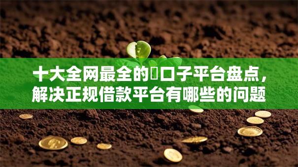 十大全网最全的黒口子平台盘点,解决正规借款平台有哪些的问题 十大全网最全的黒口子平台盘点,解决正规借款平台有哪些的问题