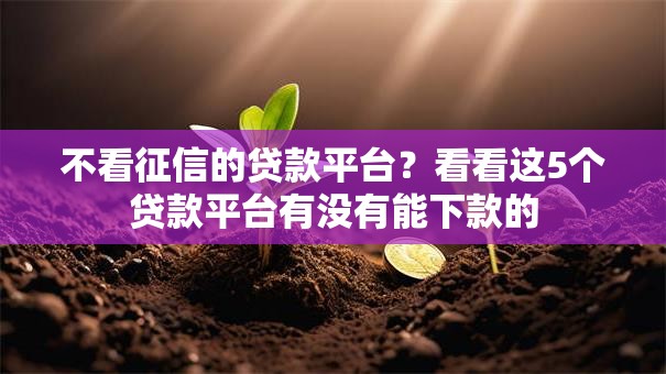不看征信的贷款平台？看看这5个贷款平台有没有能下款的