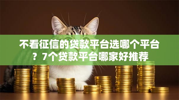 不看征信的贷款平台选哪个平台？7个贷款平台哪家好推荐