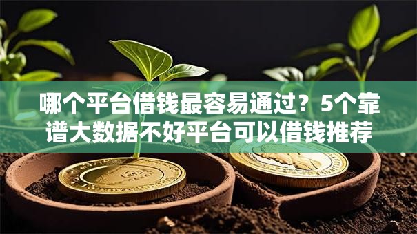 哪个平台借钱最容易通过？5个靠谱大数据不好平台可以借钱推荐