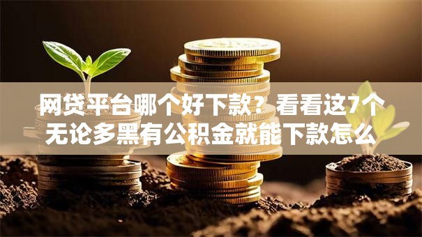 网贷平台哪个好下款？看看这7个无论多黑有公积金就能下款怎么样