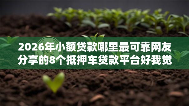2026年小额贷款哪里最可靠网友分享的8个抵押车贷款平台好我觉得不错！