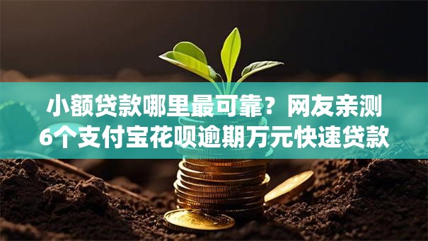 小额贷款哪里最可靠？网友亲测6个支付宝花呗逾期万元快速贷款app盘点