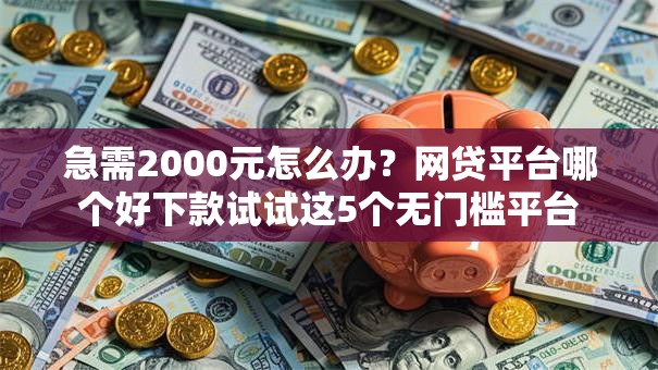 急需2000元怎么办？网贷平台哪个好下款试试这5个无门槛平台