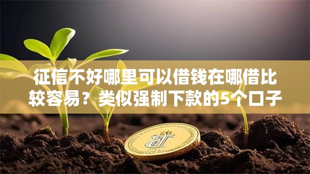 征信不好哪里可以借钱在哪借比较容易？类似强制下款的5个口子参考