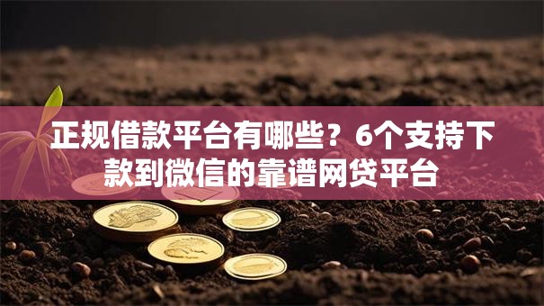 正规借款平台有哪些？6个支持下款到微信的靠谱网贷平台