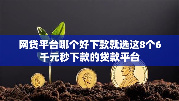 网贷平台哪个好下款就选这8个6千元秒下款的贷款平台