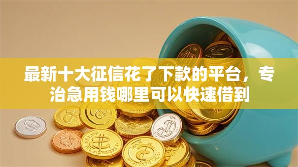 最新十大征信花了下款的平台，专治急用钱哪里可以快速借到