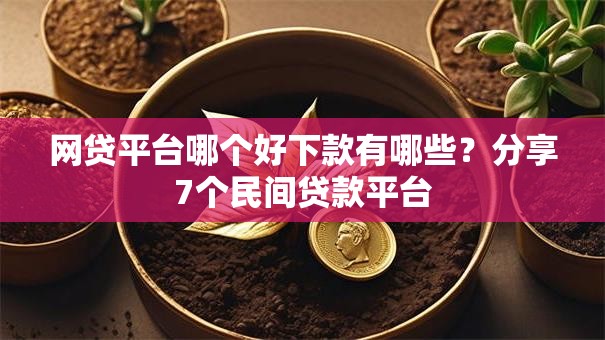 网贷平台哪个好下款有哪些？分享7个民间贷款平台