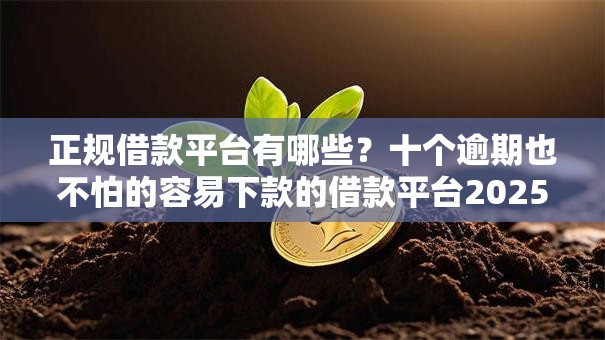 正规借款平台有哪些?十个逾期也不怕的容易下款的借款平台2025 正规借款平台有哪些?十个逾期也不怕的容易下款的借款平台2025
