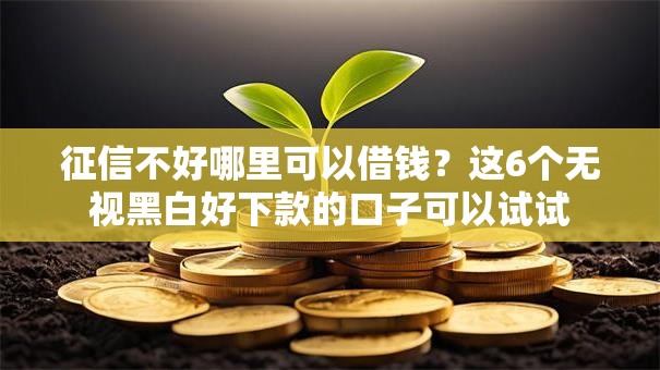 征信不好哪里可以借钱？这6个无视黑白好下款的口子可以试试