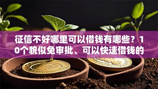 征信不好哪里可以借钱有哪些？10个貌似免审批、可以快速借钱的平台合集