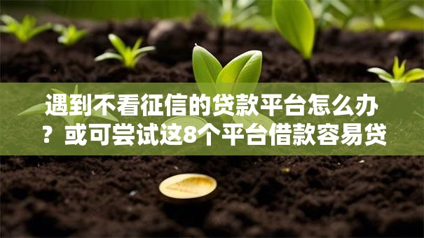 遇到不看征信的贷款平台怎么办?或可尝试这8个平台借款容易贷款 遇到不看征信的贷款平台怎么办?或可尝试这8个平台借款容易贷款
