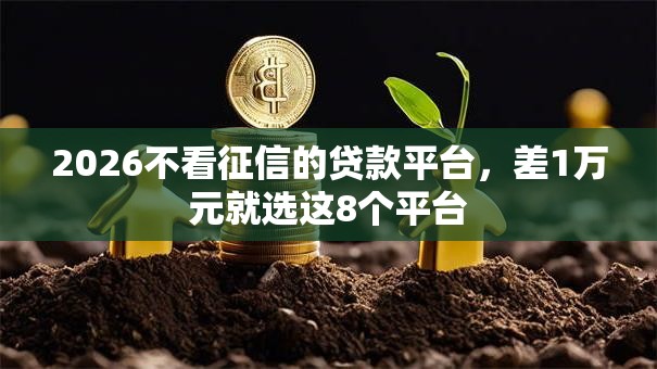 2026不看征信的贷款平台，差1万元就选这8个平台