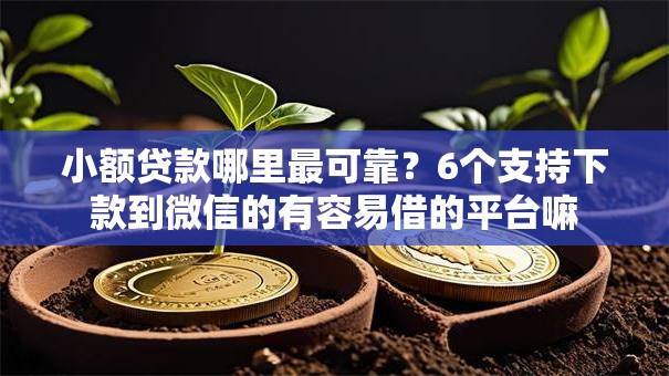 小额贷款哪里最可靠？6个支持下款到微信的有容易借的平台嘛