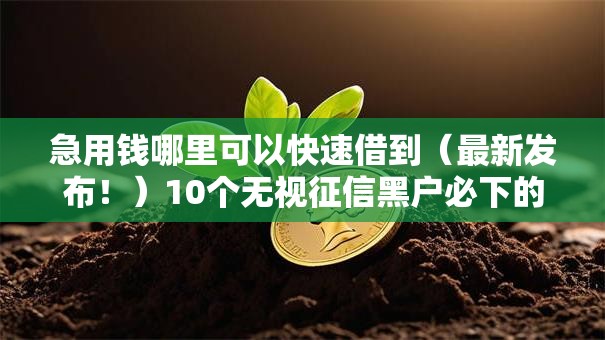 急用钱哪里可以快速借到（最新发布！）10个无视征信黑户必下的贷款口子