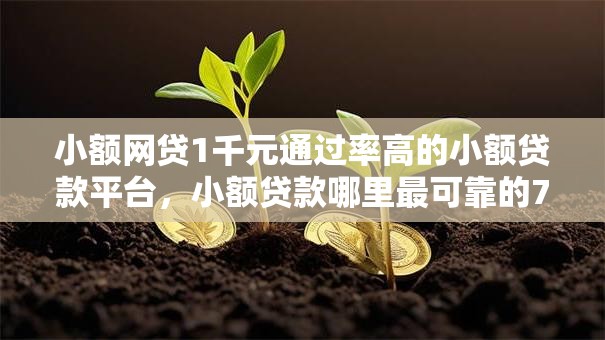 小额网贷1千元通过率高的小额贷款平台，小额贷款哪里最可靠的7个平台介绍