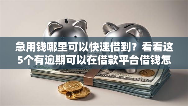 急用钱哪里可以快速借到?看看这5个有逾期可以在借款平台借钱怎么样 急用钱哪里可以快速借到?看看这5个有逾期可以在借款平台借钱怎么样
