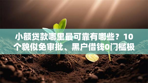 小额贷款哪里最可靠有哪些?10个貌似免审批、黑户借钱0门槛极速下款平台合集 小额贷款哪里最可靠有哪些?10个貌似免审批、黑户借钱0门槛极速下款平台合集