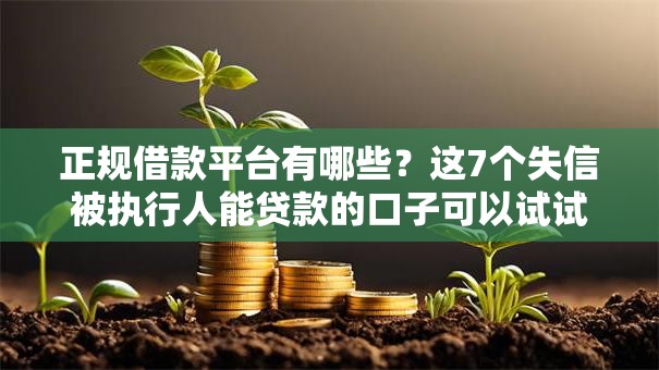 正规借款平台有哪些？这7个失信被执行人能贷款的口子可以试试