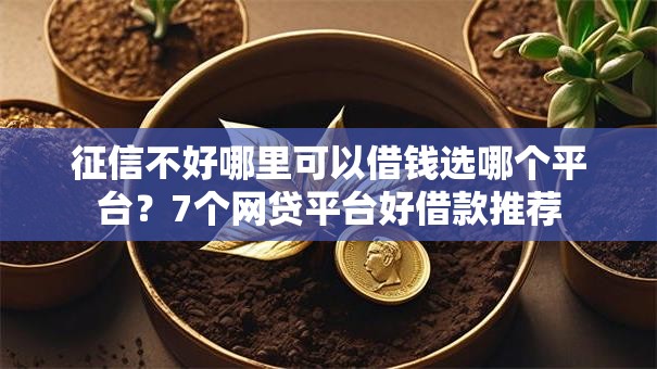 征信不好哪里可以借钱选哪个平台？7个网贷平台好借款推荐