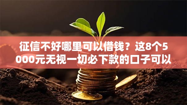征信不好哪里可以借钱？这8个5000元无视一切必下款的口子可以试试