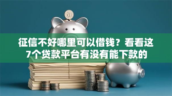 征信不好哪里可以借钱？看看这7个贷款平台有没有能下款的