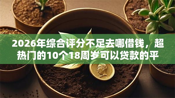 2026年综合评分不足去哪借钱，超热门的10个18周岁可以贷款的平台推荐
