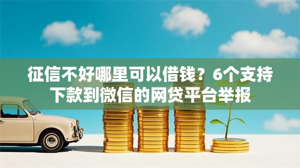 征信不好哪里可以借钱？6个支持下款到微信的网贷平台举报
