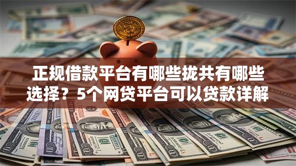 正规借款平台有哪些拢共有哪些选择?5个网贷平台可以贷款详解 正规借款平台有哪些拢共有哪些选择?5个网贷平台可以贷款详解