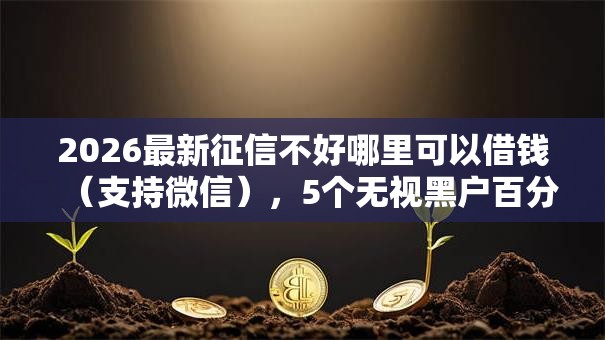 2026最新征信不好哪里可以借钱（支持微信），5个无视黑户百分百下款平台无私分享