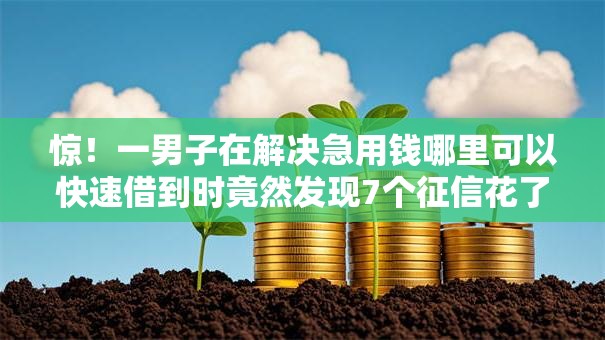 惊！一男子在解决急用钱哪里可以快速借到时竟然发现7个征信花了还能借钱的平台，事后分享了出来