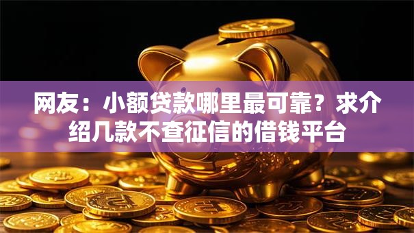 网友：小额贷款哪里最可靠？求介绍几款不查征信的借钱平台
