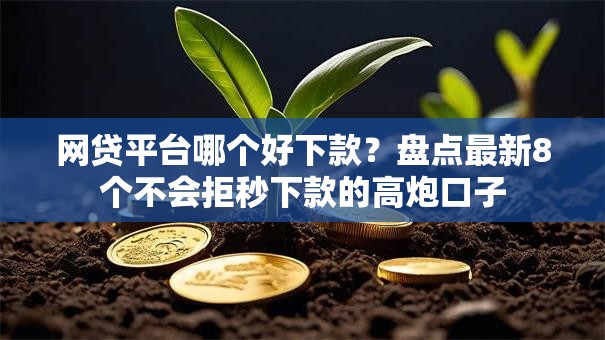 网贷平台哪个好下款？盘点最新8个不会拒秒下款的高炮口子