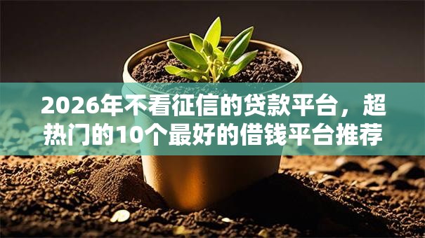 2026年不看征信的贷款平台，超热门的10个最好的借钱平台推荐