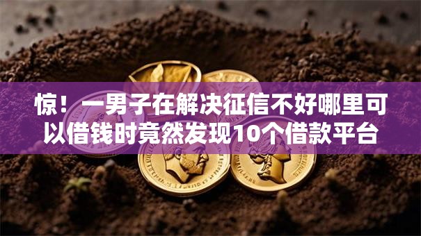 惊！一男子在解决征信不好哪里可以借钱时竟然发现10个借款平台贷款额度高，事后分享了出来