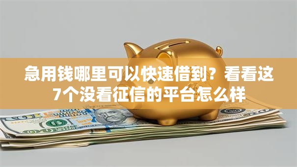 急用钱哪里可以快速借到？看看这7个没看征信的平台怎么样