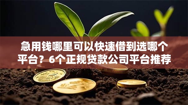 急用钱哪里可以快速借到选哪个平台？6个正规贷款公司平台推荐