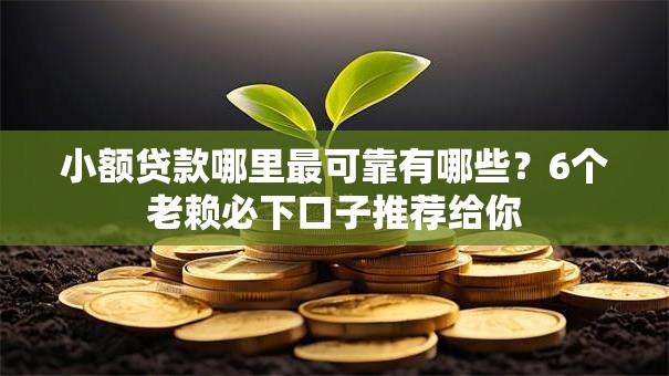 小额贷款哪里最可靠有哪些？6个老赖必下口子推荐给你
