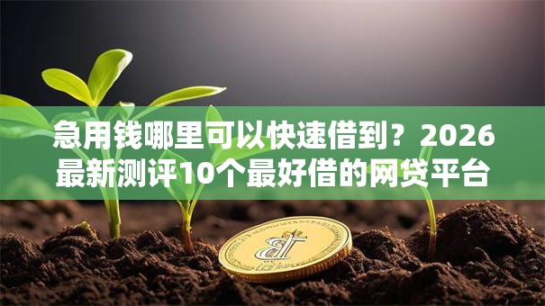 急用钱哪里可以快速借到？2026最新测评10个最好借的网贷平台