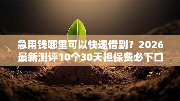 急用钱哪里可以快速借到?2026最新测评10个30天担保费必下口子2025 急用钱哪里可以快速借到?2026最新测评10个30天担保费必下口子2025