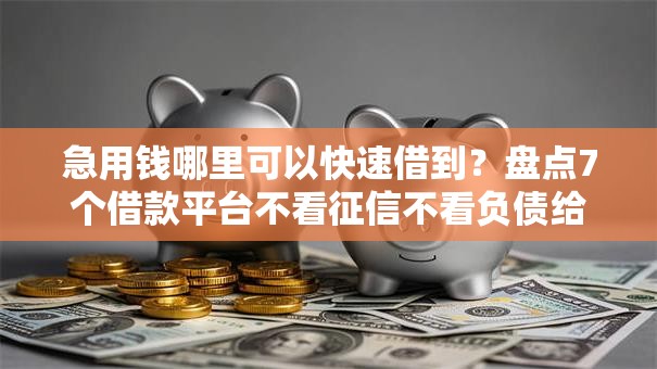 急用钱哪里可以快速借到?盘点7个借款平台不看征信不看负债给你参考 急用钱哪里可以快速借到?盘点7个借款平台不看征信不看负债给你参考