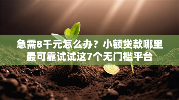 急需8千元怎么办？小额贷款哪里最可靠试试这7个无门槛平台