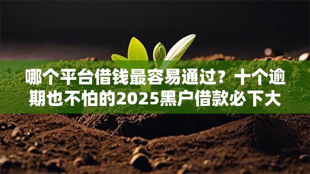 哪个平台借钱最容易通过？十个逾期也不怕的2025黑户借款必下大额口子