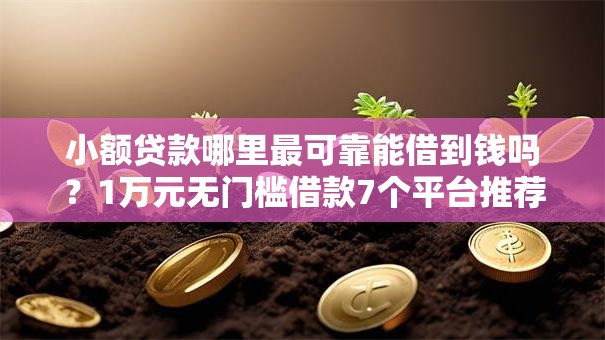 小额贷款哪里最可靠能借到钱吗？1万元无门槛借款7个平台推荐