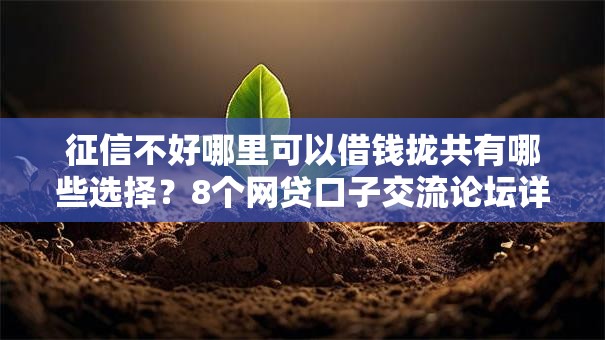 征信不好哪里可以借钱拢共有哪些选择？8个网贷口子交流论坛详解
