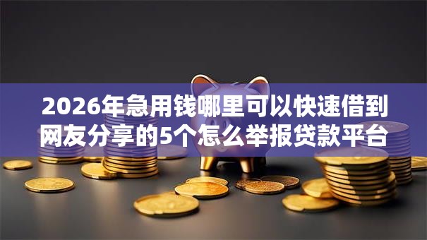 2026年急用钱哪里可以快速借到网友分享的5个怎么举报贷款平台我觉得不错！