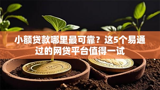 小额贷款哪里最可靠？这5个易通过的网贷平台值得一试