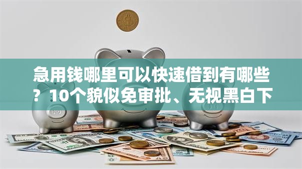 急用钱哪里可以快速借到有哪些？10个貌似免审批、无视黑白下款8000左右的口子合集